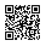 P4KE16 QRCode