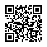 P4KE20CA QRCode