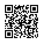 P4KE22 QRCode