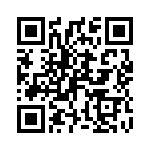 P4KE22A QRCode