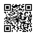 P4KE33 QRCode