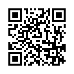 P4KE47-E3-54 QRCode