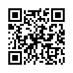 P4KE68HE3-54 QRCode