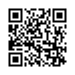 P4KE75 QRCode