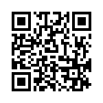 P6KE100A-B QRCode