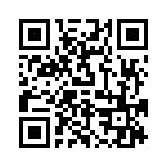 P6KE100A_111 QRCode