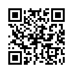 P6KE13-E3-73 QRCode