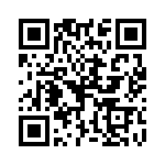 P6KE300CA-B QRCode