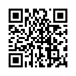 P6KE33CA-E3-73 QRCode