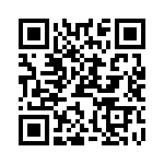 PK10X256VMD100 QRCode