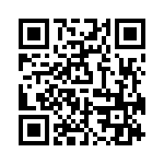 PPT0300GFF2VA QRCode