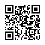 PPTE0300GP5VDF QRCode