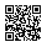 PT04SE20-41S QRCode