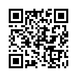 R10-E6451-1 QRCode