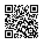 R71VI33304030K QRCode