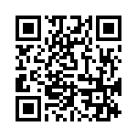 RA17131100 QRCode