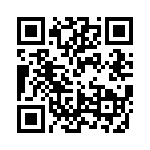 RC1608F9R53CS QRCode