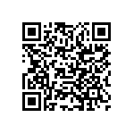 RCP1206B300RJS3 QRCode