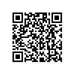 RG1005P-1242-B-T1 QRCode