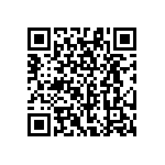 RG1608P-392-C-T5 QRCode