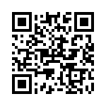 RGL41D-E3-96 QRCode