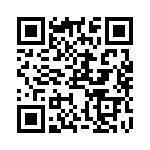 RJ13P202 QRCode