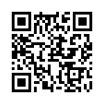 RJHSE538304 QRCode