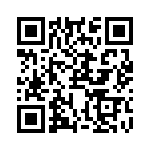 RJHSE538608 QRCode