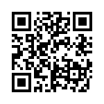 RJSBE5385C1 QRCode