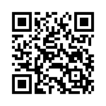 RJSNE538308 QRCode