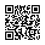 RJSNEJ38K08 QRCode