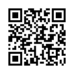 RJSSE538102T QRCode