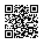 RMCF2512JT13K0 QRCode