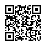 RN55E1333BRSL QRCode