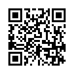 RN55E1353BRSL QRCode