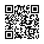 RN55E3090DRSL QRCode