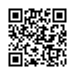 RN55E6041BRSL QRCode