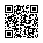 RN65E1333BRSL QRCode