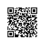 RNC50J3010BSRE6 QRCode