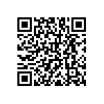 RNC55H1001BSRE6 QRCode