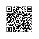 RNC55H1002BPRE6 QRCode