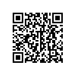 RNC55H1333DSRE6 QRCode