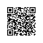 RNC55H1381BSRSL QRCode