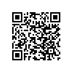 RNC55H1653DSBSL QRCode