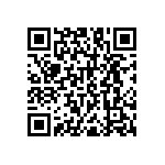 RNC55H1743BSRSL QRCode