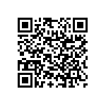 RNC55H1763BPBSL QRCode