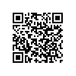 RNC55H2460BRBSL QRCode