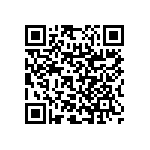 RNC55H2800BSRSL QRCode