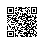 RNC55H3011BSR36 QRCode