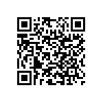 RNC55H3013BSRE6 QRCode